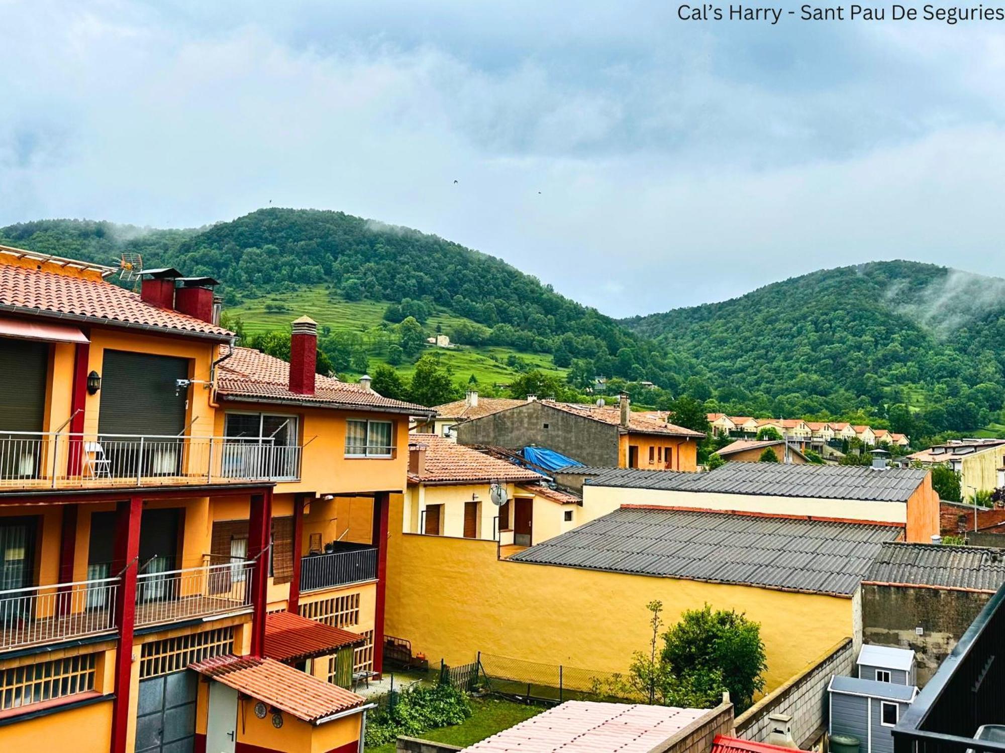 Cal Harrys - La Mejor Casa De Vacaciones En Pyrenees Con Vistas A La Montana Sant Pau de Seguries Exterior foto