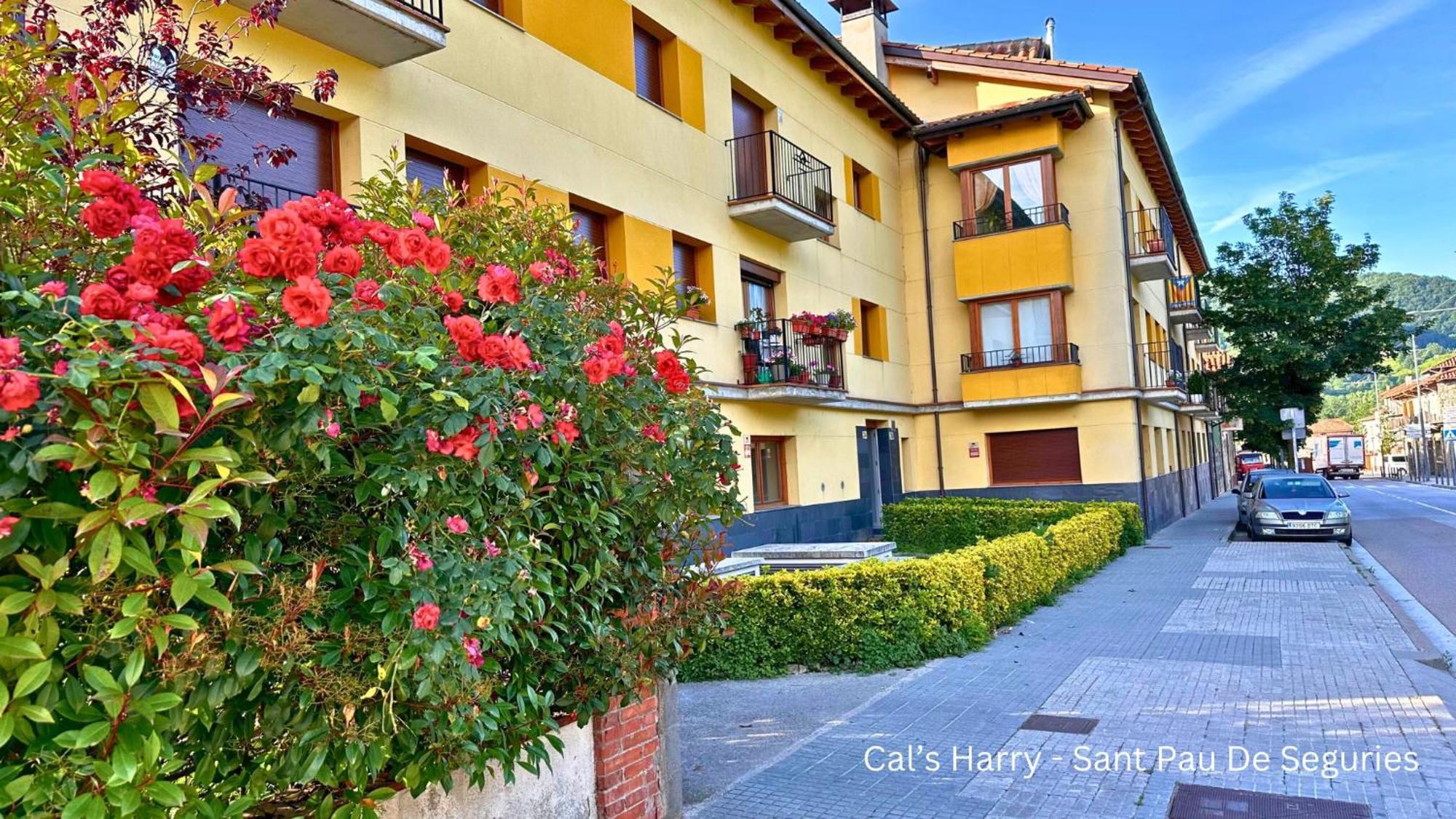 Cal Harrys - La Mejor Casa De Vacaciones En Pyrenees Con Vistas A La Montana Sant Pau de Seguries Exterior foto